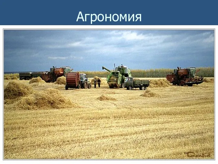 Агрономия