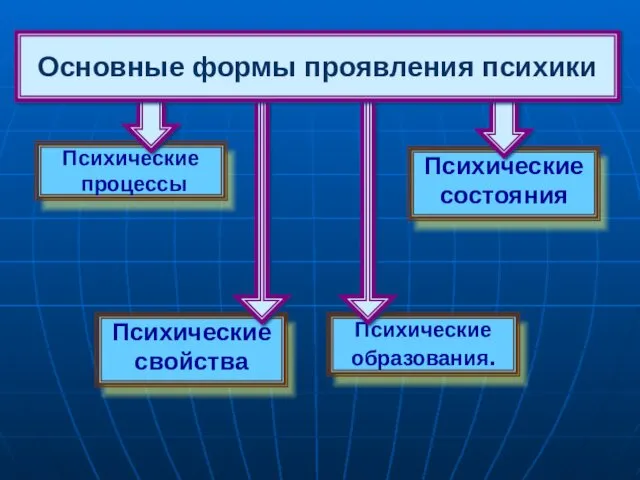 Психические процессы Психические состояния Психические свойства Психические образования. Основные формы проявления психики