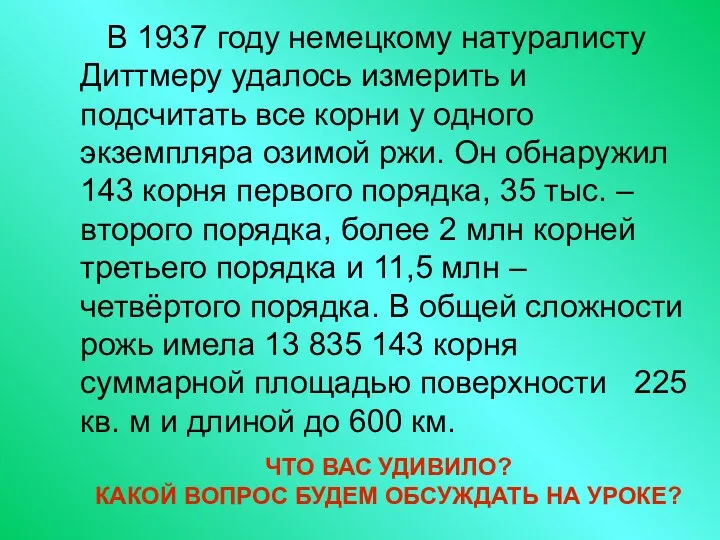 В 1937 году немецкому натуралисту Диттмеру удалось измерить и подсчитать все корни у