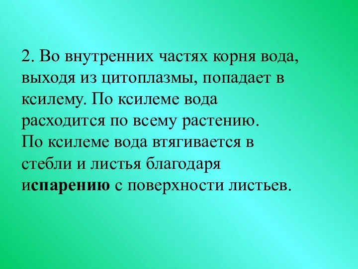 2. Во внутренних частях корня вода, выходя из цитоплазмы, попадает в ксилему. По