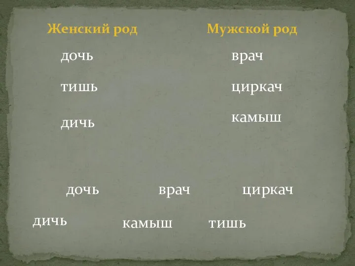 дочь Женский род Мужской род дочь врач врач дичь циркач тишь тишь циркач дичь камыш камыш