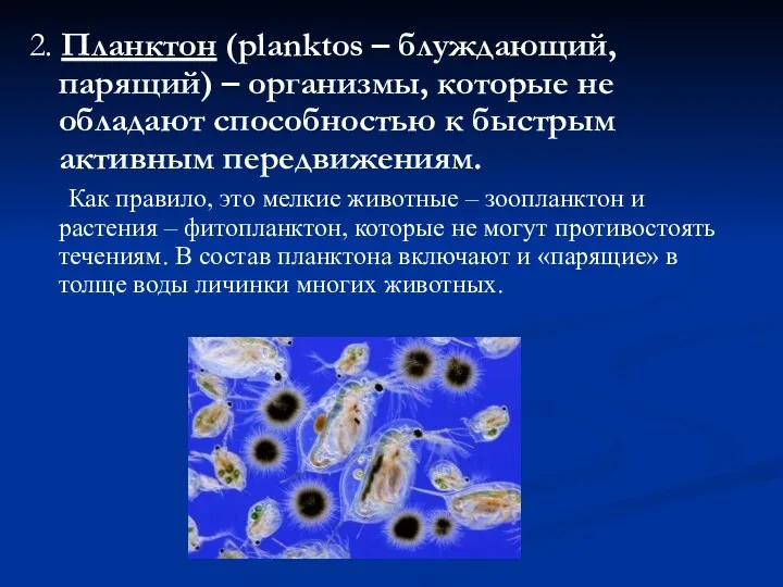 2. Планктон (planktos – блуждающий, парящий) – организмы, которые не