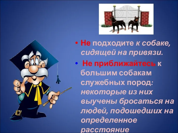 Не подходите к собаке, сидящей на привязи. Не приближайтесь к