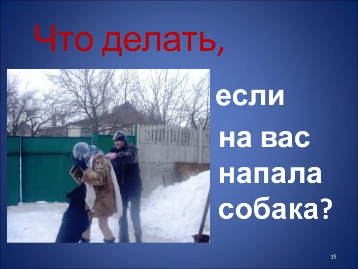 Что делать, если на вас напала собака?