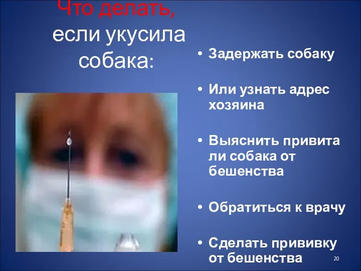 Что делать, если укусила собака: Задержать собаку Или узнать адрес