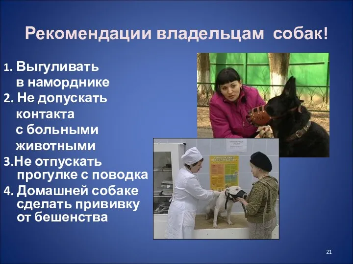 Рекомендации владельцам собак! 1. Выгуливать в наморднике 2. Не допускать