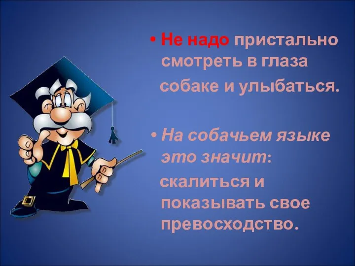 Не надо пристально смотреть в глаза собаке и улыбаться. На