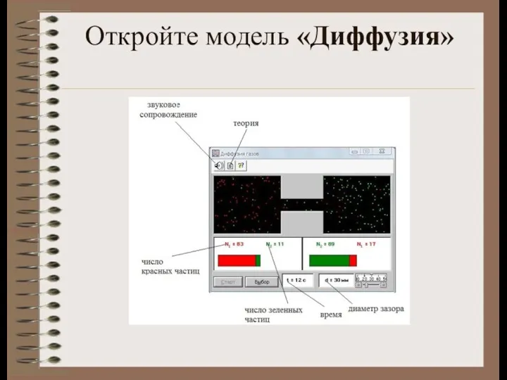 Откройте модель «Диффузия»