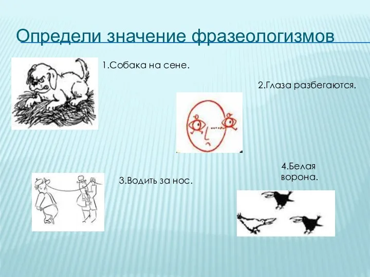 Определи значение фразеологизмов 1.Собака на сене. 2.Глаза разбегаются. 3.Водить за нос. 4.Белая ворона.