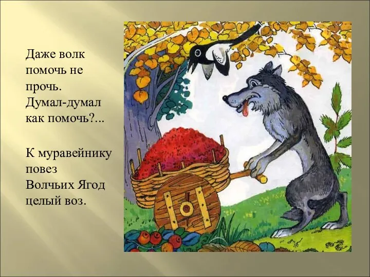 Даже волк помочь не прочь. Думал-думал как помочь?... К муравейнику повез Волчьих Ягод целый воз.