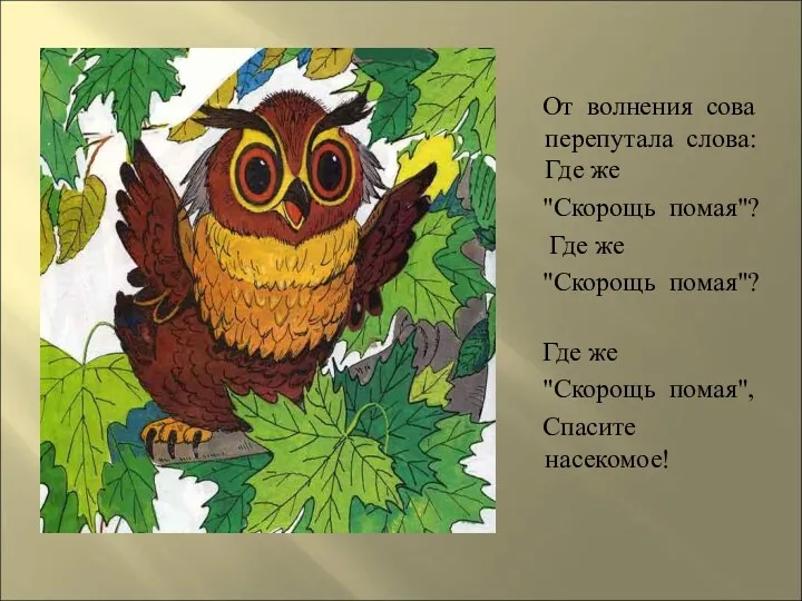 От волнения сова перепутала слова: Где же "Скорощь помая"? Где