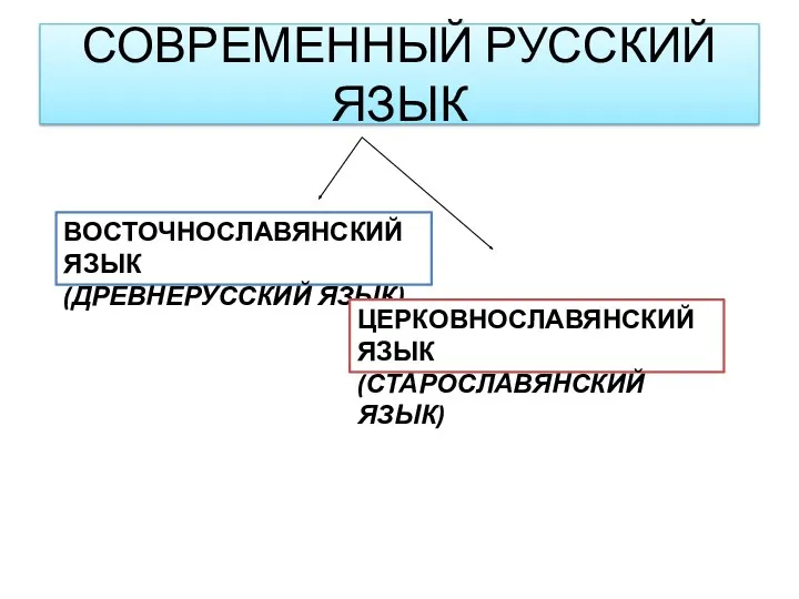 СОВРЕМЕННЫЙ РУССКИЙ ЯЗЫК ВОСТОЧНОСЛАВЯНСКИЙ ЯЗЫК (ДРЕВНЕРУССКИЙ ЯЗЫК) ЦЕРКОВНОСЛАВЯНСКИЙ ЯЗЫК (СТАРОСЛАВЯНСКИЙ ЯЗЫК)