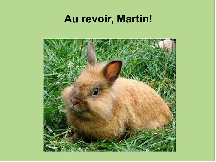 Au revoir, Martin!