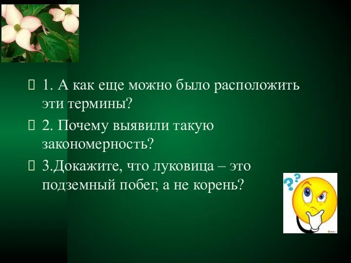 1. А как еще можно было расположить эти термины? 2.