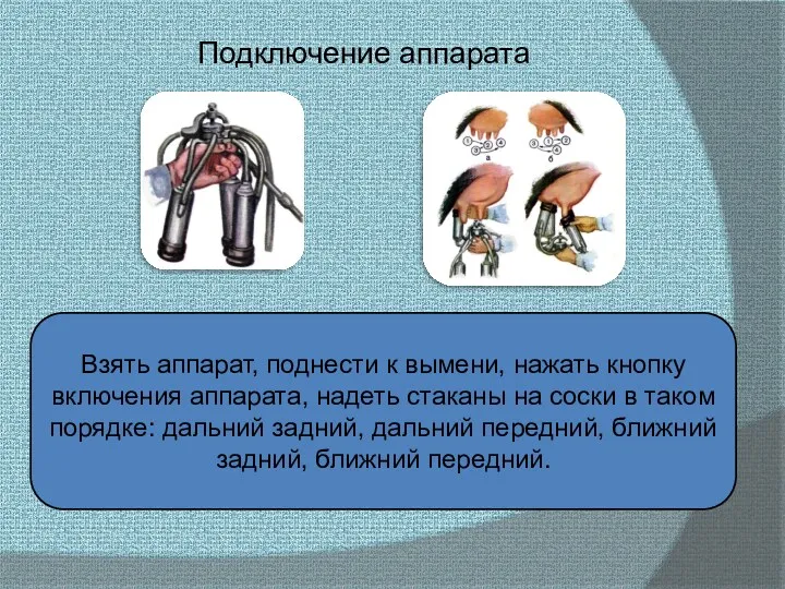 Подключение аппарата Взять аппарат, поднести к вымени, нажать кнопку включения