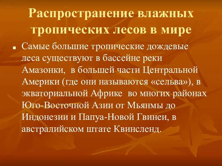 Распространение влажных тропических лесов в мире Самые большие тропические дождевые