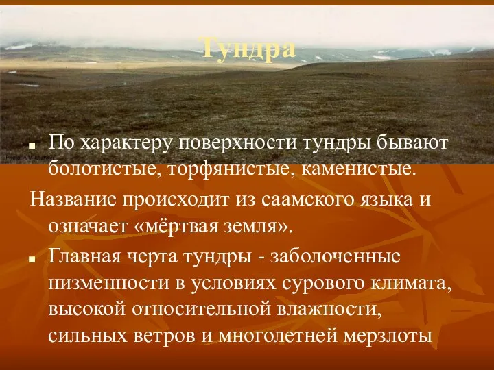 Тундра По характеру поверхности тундры бывают болотистые, торфянистые, каменистые. Название