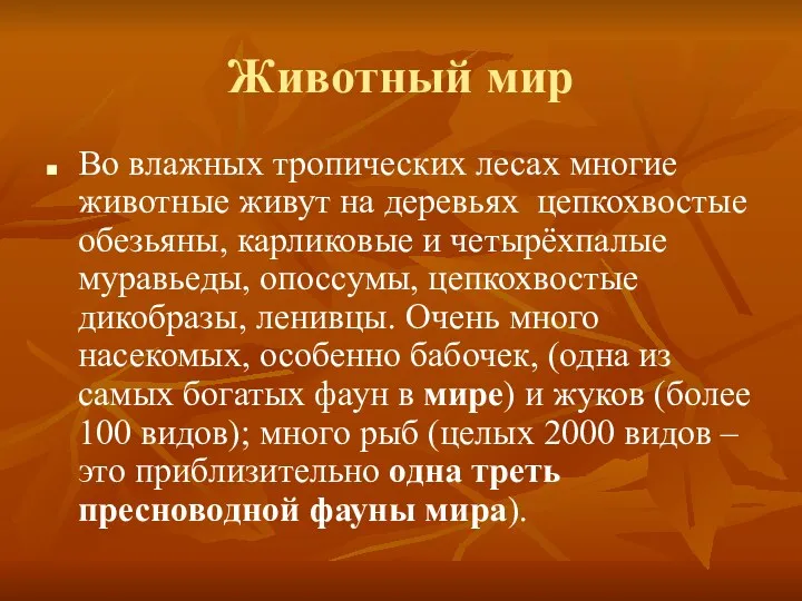 Животный мир Во влажных тропических лесах многие животные живут на