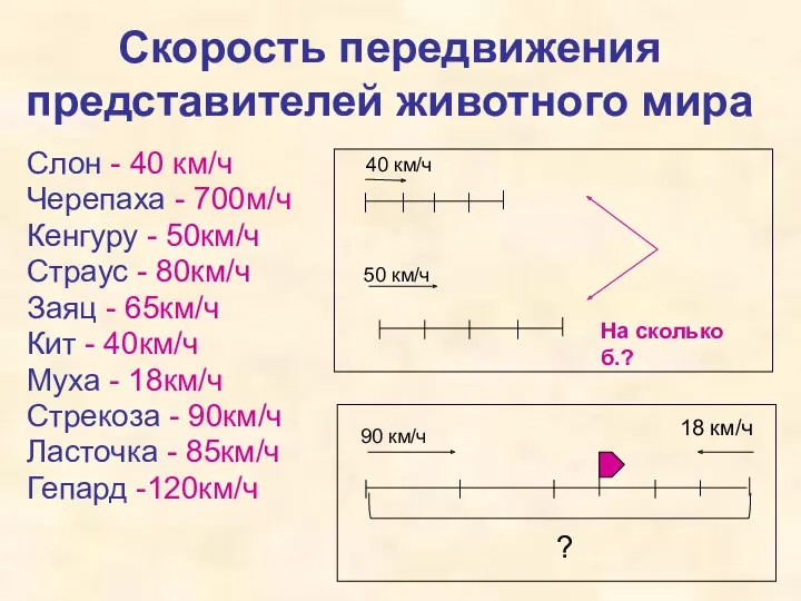 Скорость передвижения представителей животного мира 40 км/ч 90 км/ч На