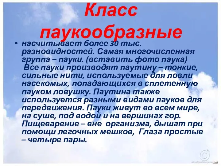 Класс паукообразные насчитывает более 30 тыс. разновидностей. Самая многочисленная группа