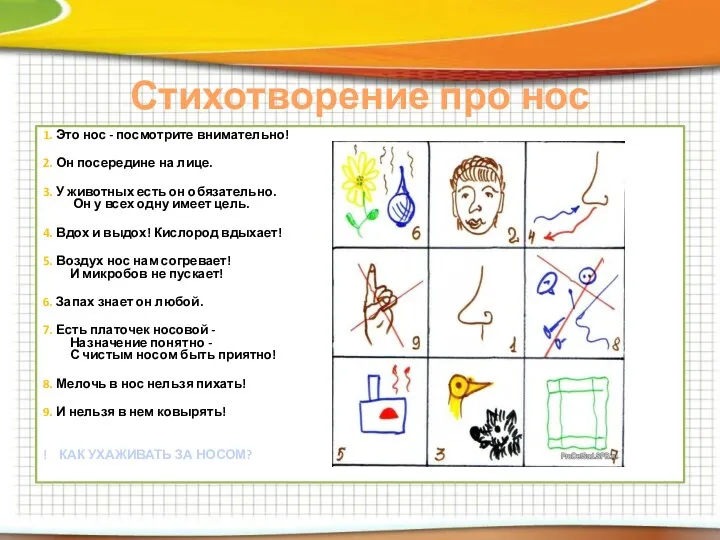 Стихотворение про нос 1. Это нос - посмотрите внимательно! 2.