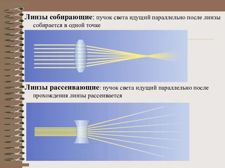 Линзы собирающие: пучок света идущий параллельно после линзы собирается в