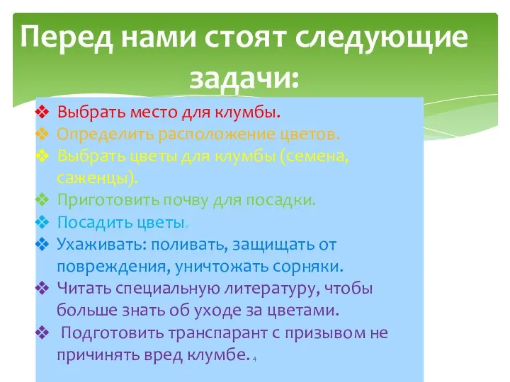 Выбрать место для клумбы. Определить расположение цветов. Выбрать цветы для