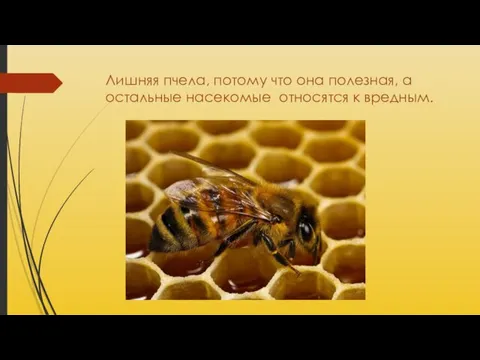 Лишняя пчела, потому что она полезная, а остальные насекомые относятся к вредным.