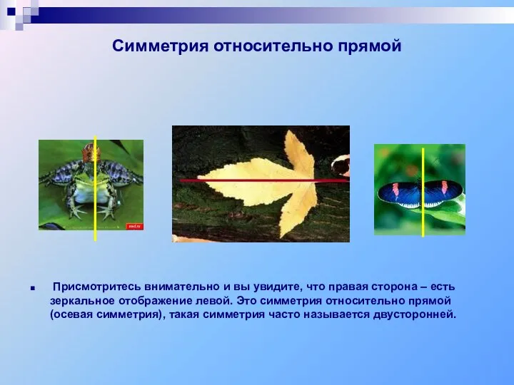 Симметрия относительно прямой Присмотритесь внимательно и вы увидите, что правая сторона – есть