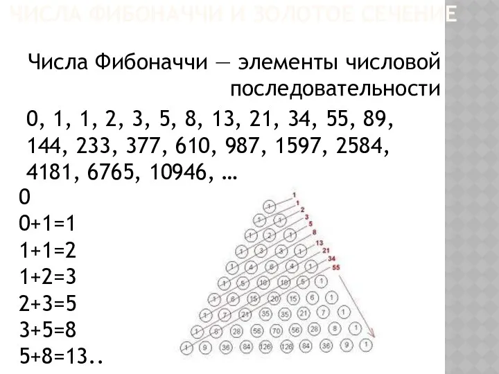 Числа Фибоначчи — элементы числовой последовательности 0, 1, 1, 2, 3, 5, 8,