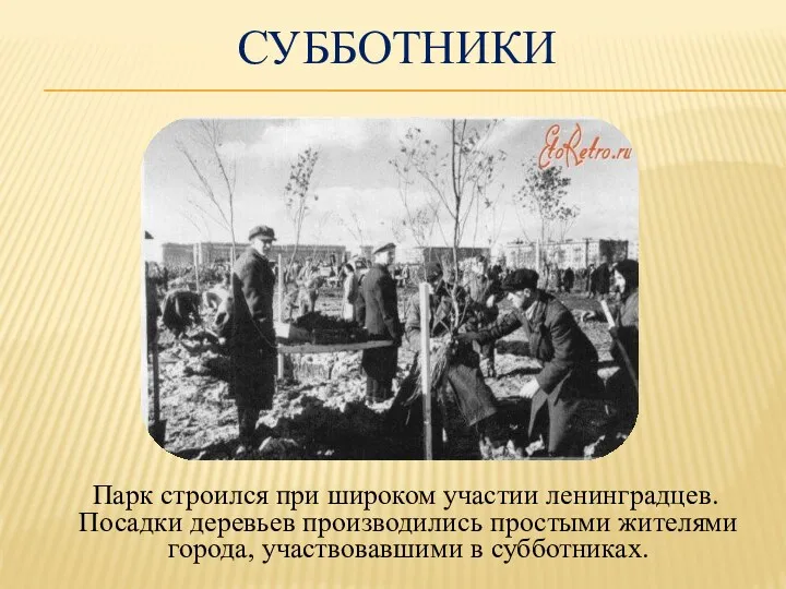 субботники Парк строился при широком участии ленинградцев. Посадки деревьев производились простыми жителями города, участвовавшими в субботниках.