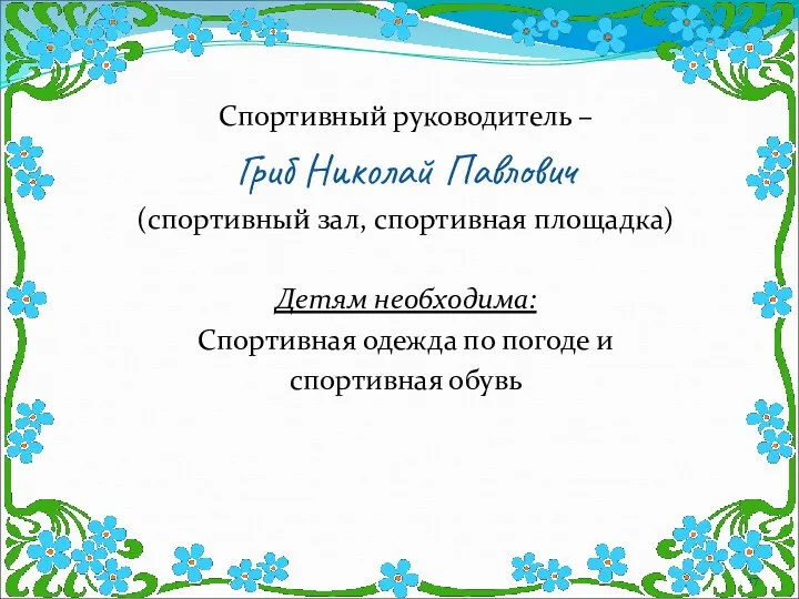 Спортивный руководитель – Гриб Николай Павлович (спортивный зал, спортивная площадка)