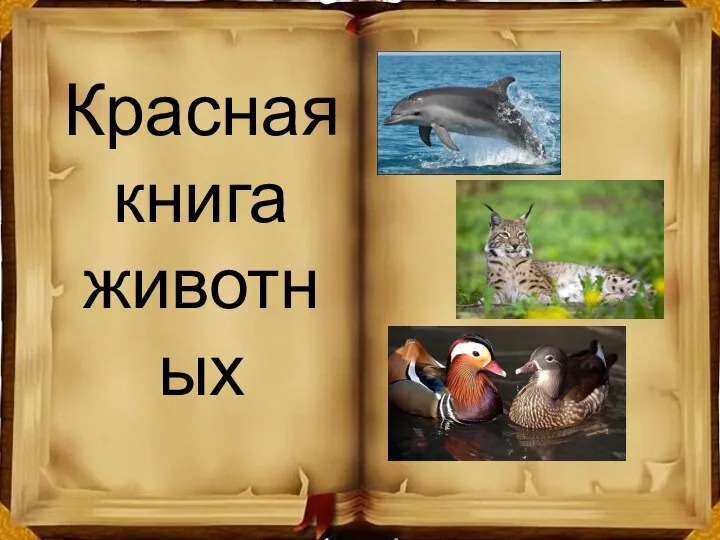 Красная книга животных