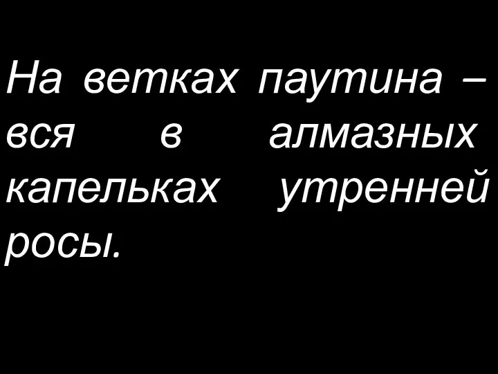 На ветках паутина – вся в алмазных капельках утренней росы.