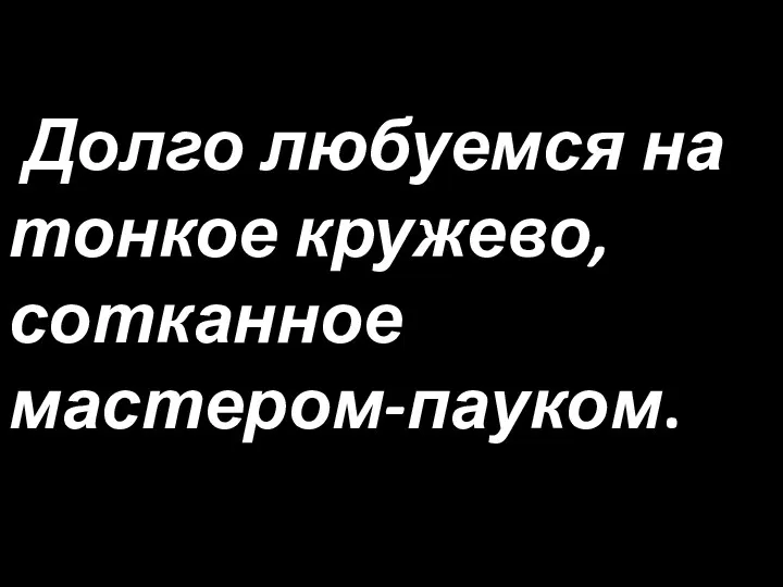 Долго любуемся на тонкое кружево, сотканное мастером-пауком.