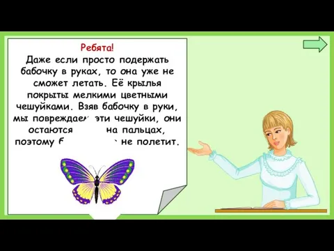 Ребята! Даже если просто подержать бабочку в руках, то она уже не сможет