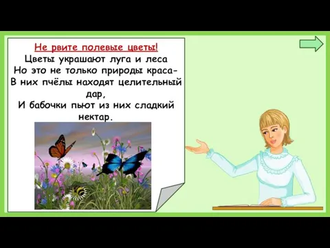 Не рвите полевые цветы! Цветы украшают луга и леса Но это не только