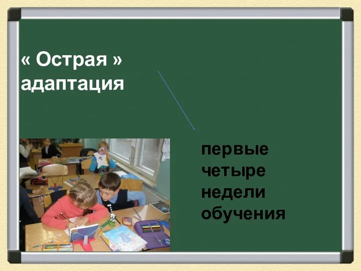 « Острая » адаптация первые четыре недели обучения