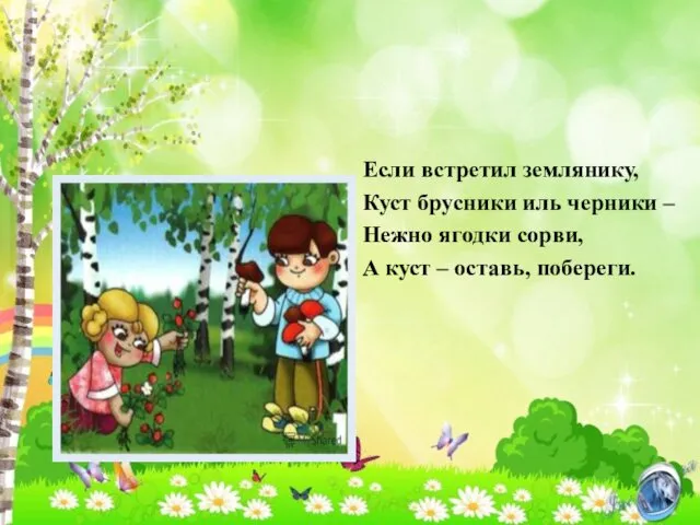 Если встретил землянику, Куст брусники иль черники – Нежно ягодки сорви, А куст – оставь, побереги.