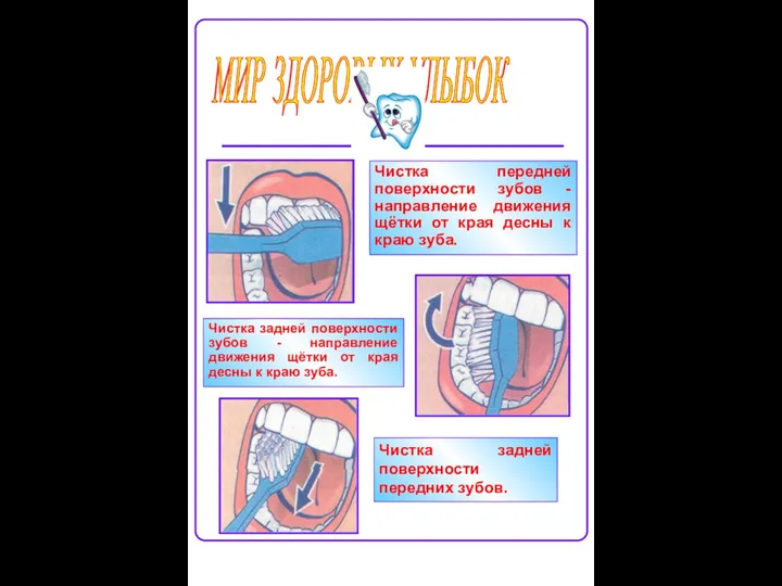 Чистка передней поверхности зубов - направление движения щётки от края десны к краю