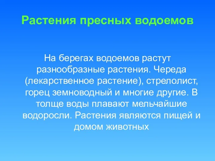 Растения пресных водоемов На берегах водоемов растут разнообразные растения. Череда