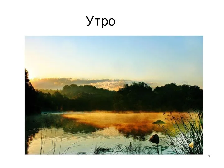 Утро