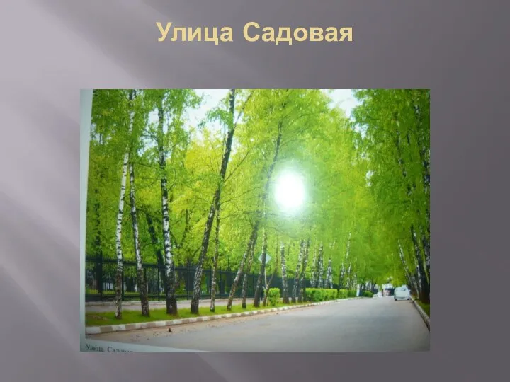 Улица Садовая