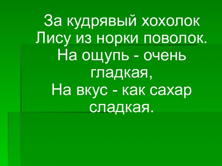 За кудрявый хохолок Лису из норки поволок. На ощупь -