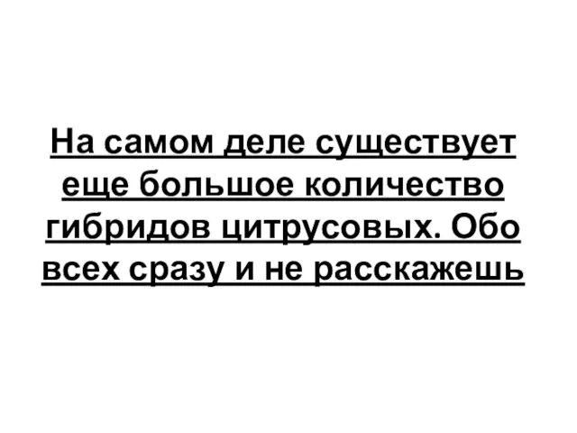 На самом деле существует еще большое количество гибридов цитрусовых. Обо всех сразу и не расскажешь