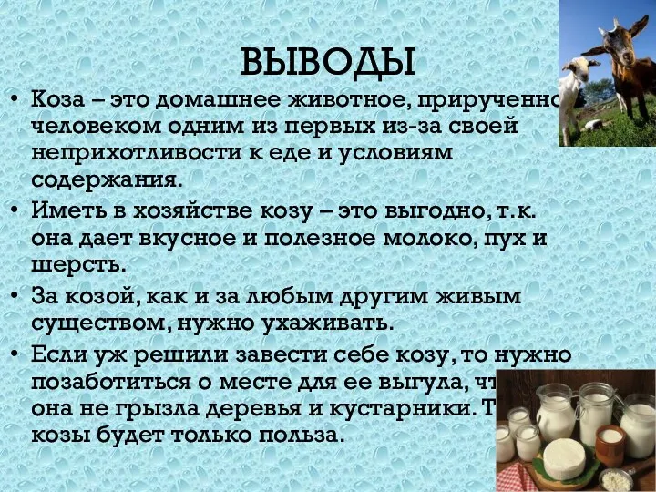 ВЫВОДЫ Коза – это домашнее животное, прирученное человеком одним из