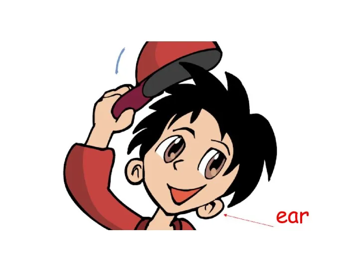 ear