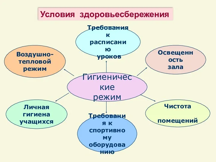 Гигиенические режим Требования к спортивному оборудованию Освещенность зала Требования к