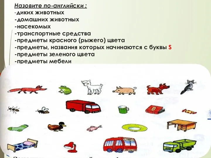 Назовите по-английски : -диких животных -домашних животных -насекомых -транспортные средства -предметы красного (рыжего)