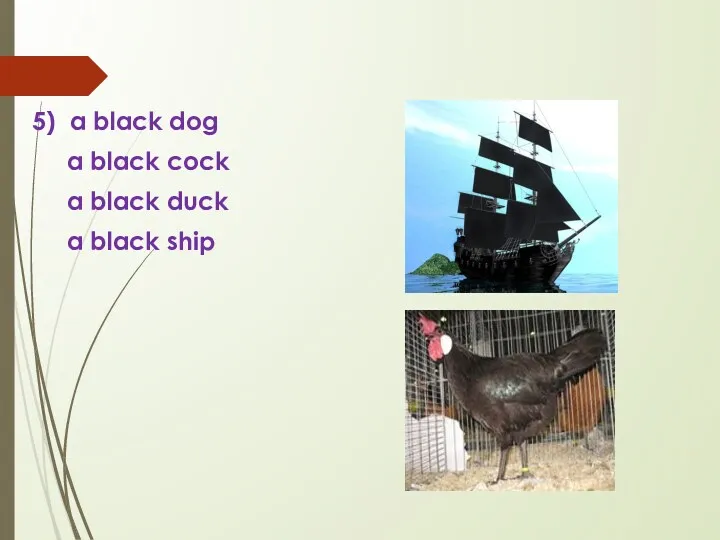 5) a black dog a black cock a black duck a black ship